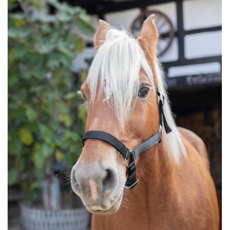 Caveção Norton Cavalo de Tração