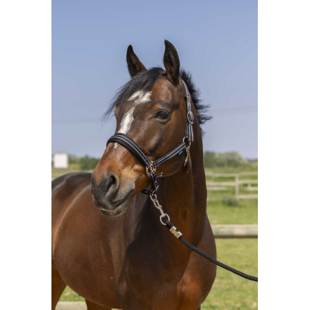 Cabezada Norton 4lines