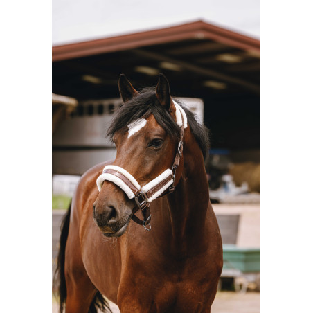 Cabresto de nylon Equithème Fashion