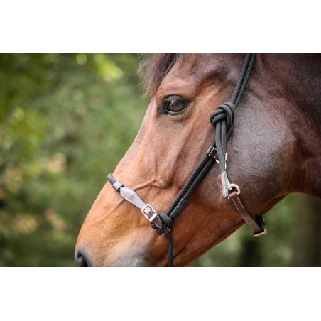 Cabresto Pénélope Etológico