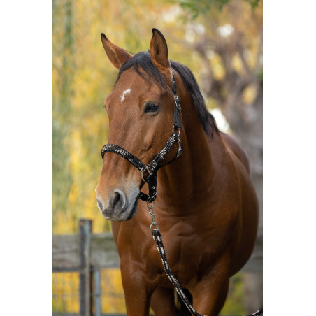 Caveirão + guia Equitheme Trançado