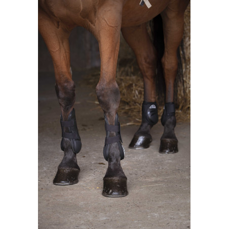 Protetor de boleto Norton XTR