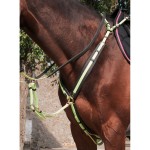 Peitoral Biotack T de T