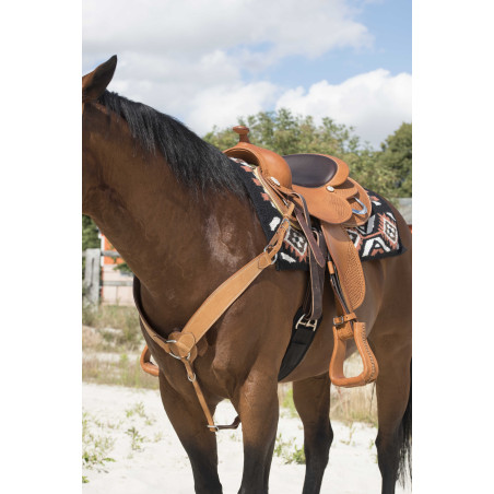 Peitoral Westride by Franck Perret Billy