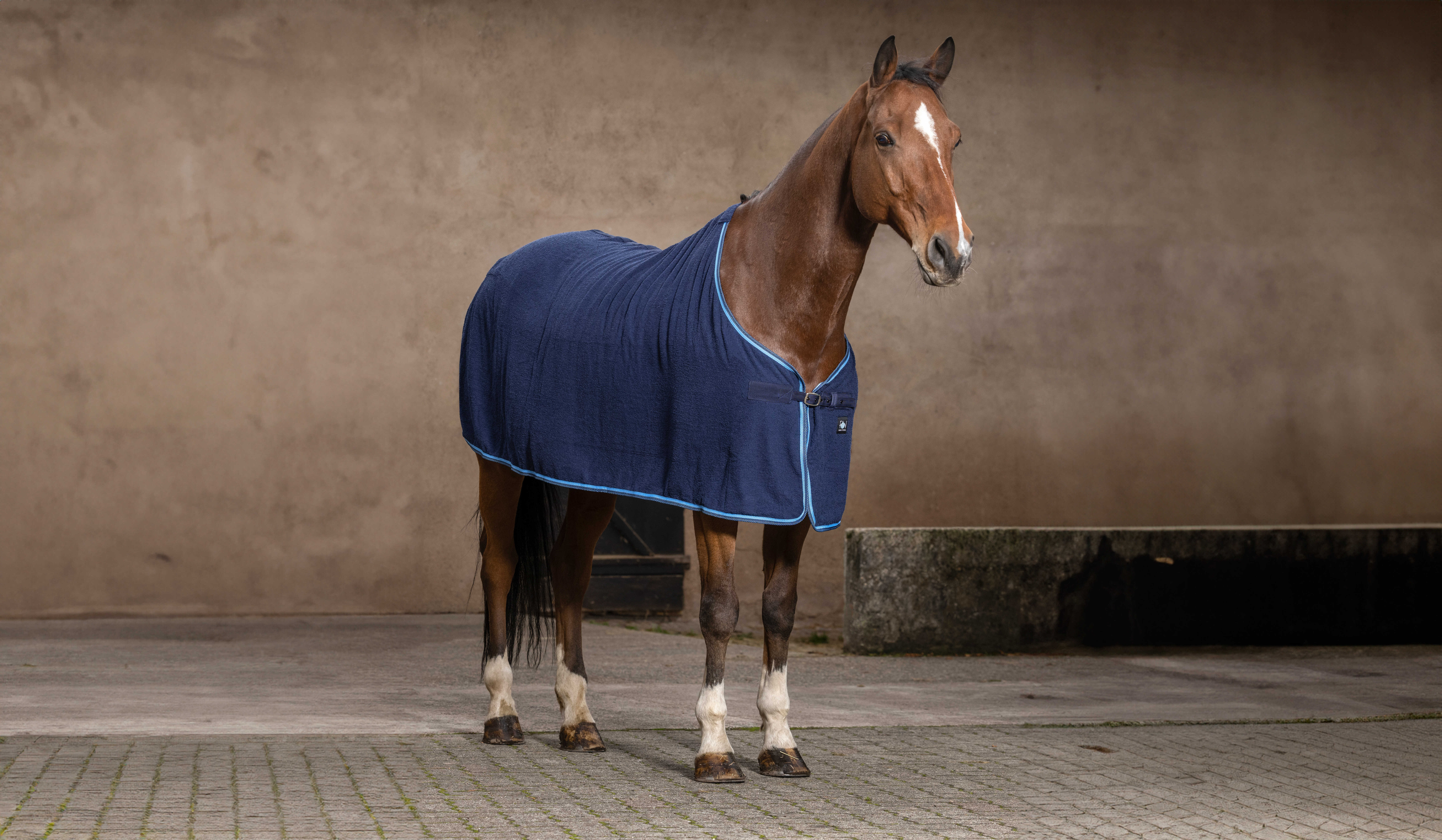 Camisa Riding World Éponge Azul-marinho