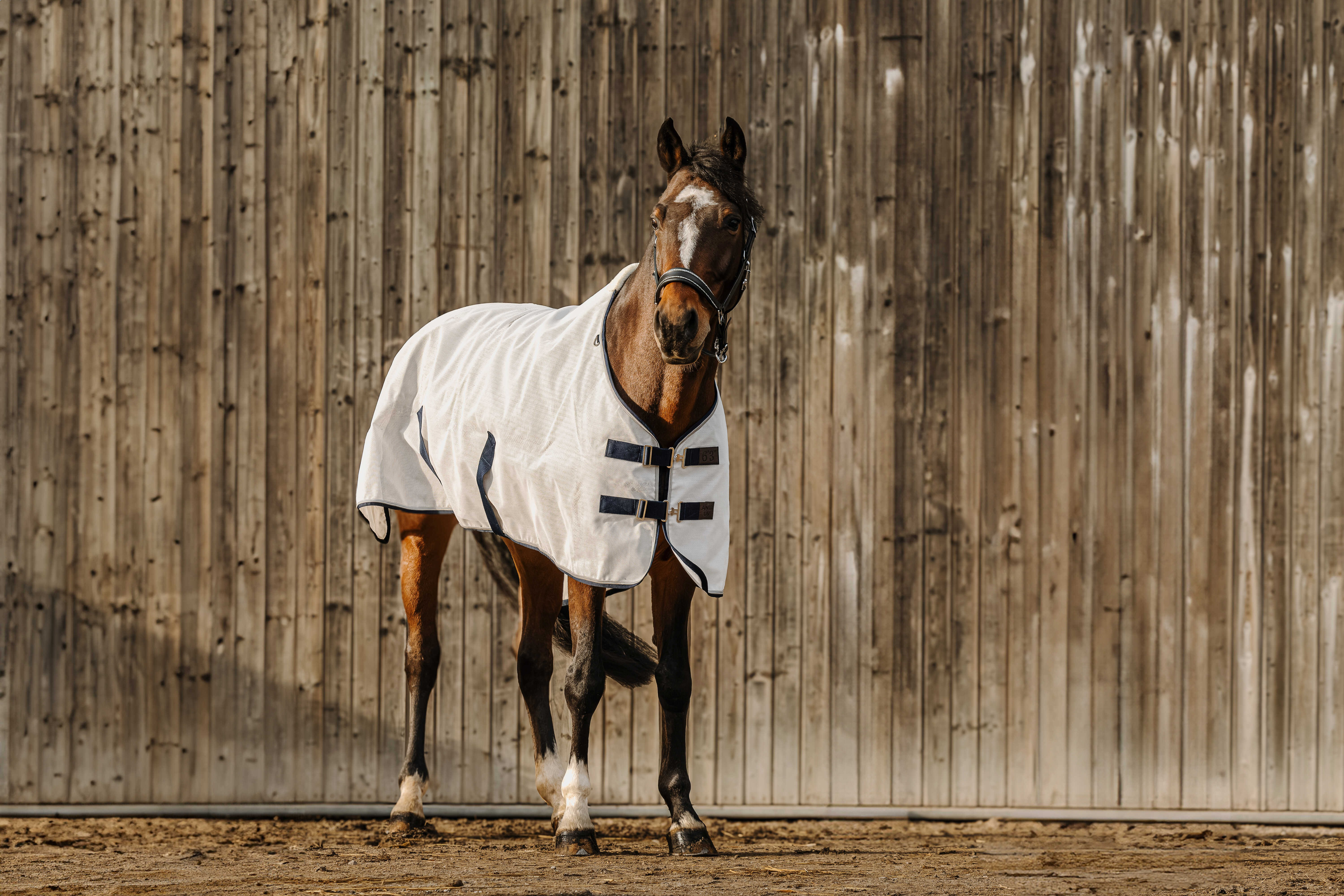 Camisa PVC Equithème Anti-UV