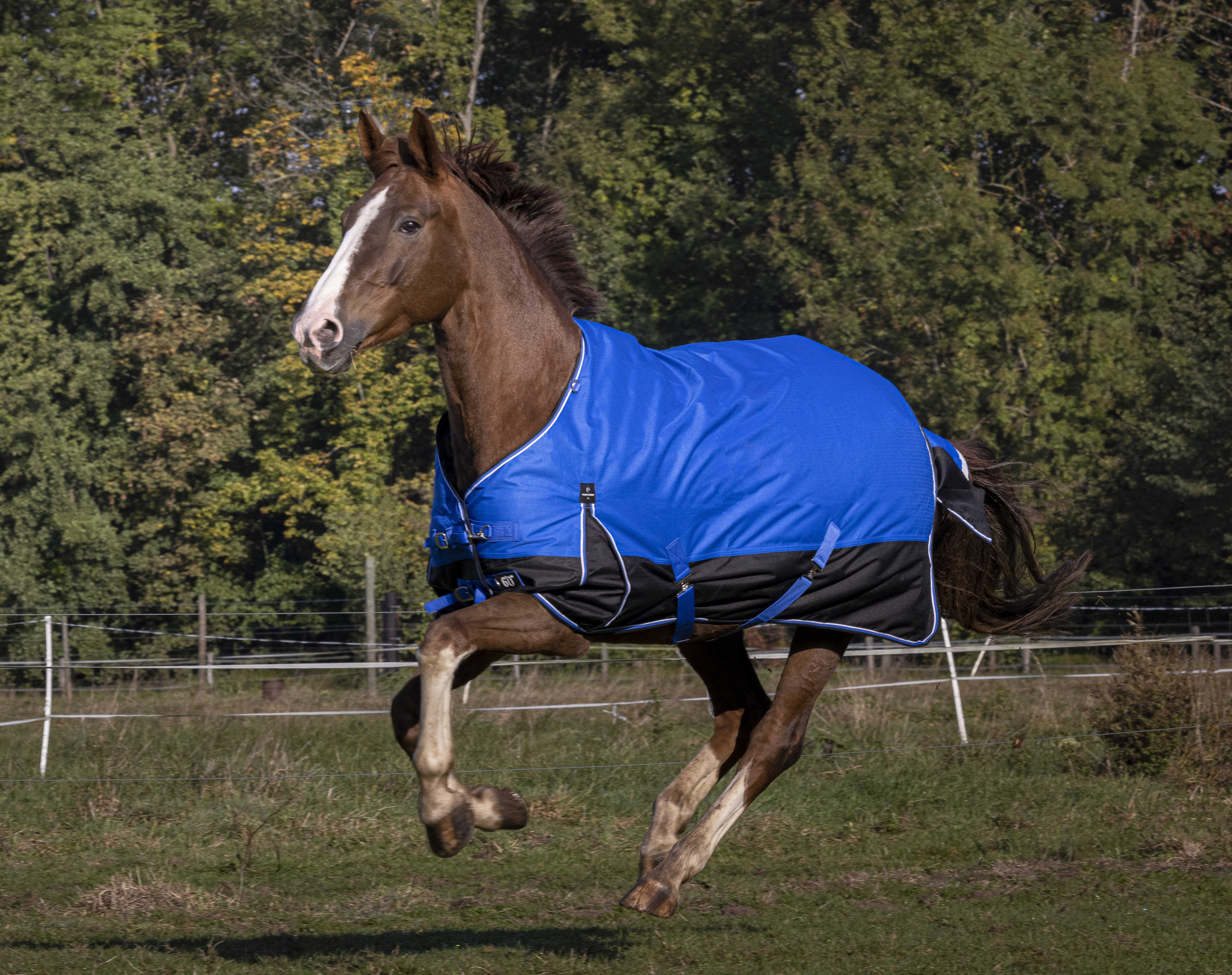 Cobertura Equithème Tyrex 1200D Aisance Azul / preto Cobertura Equithème Tyrex 1200D Aisance Azul / preto