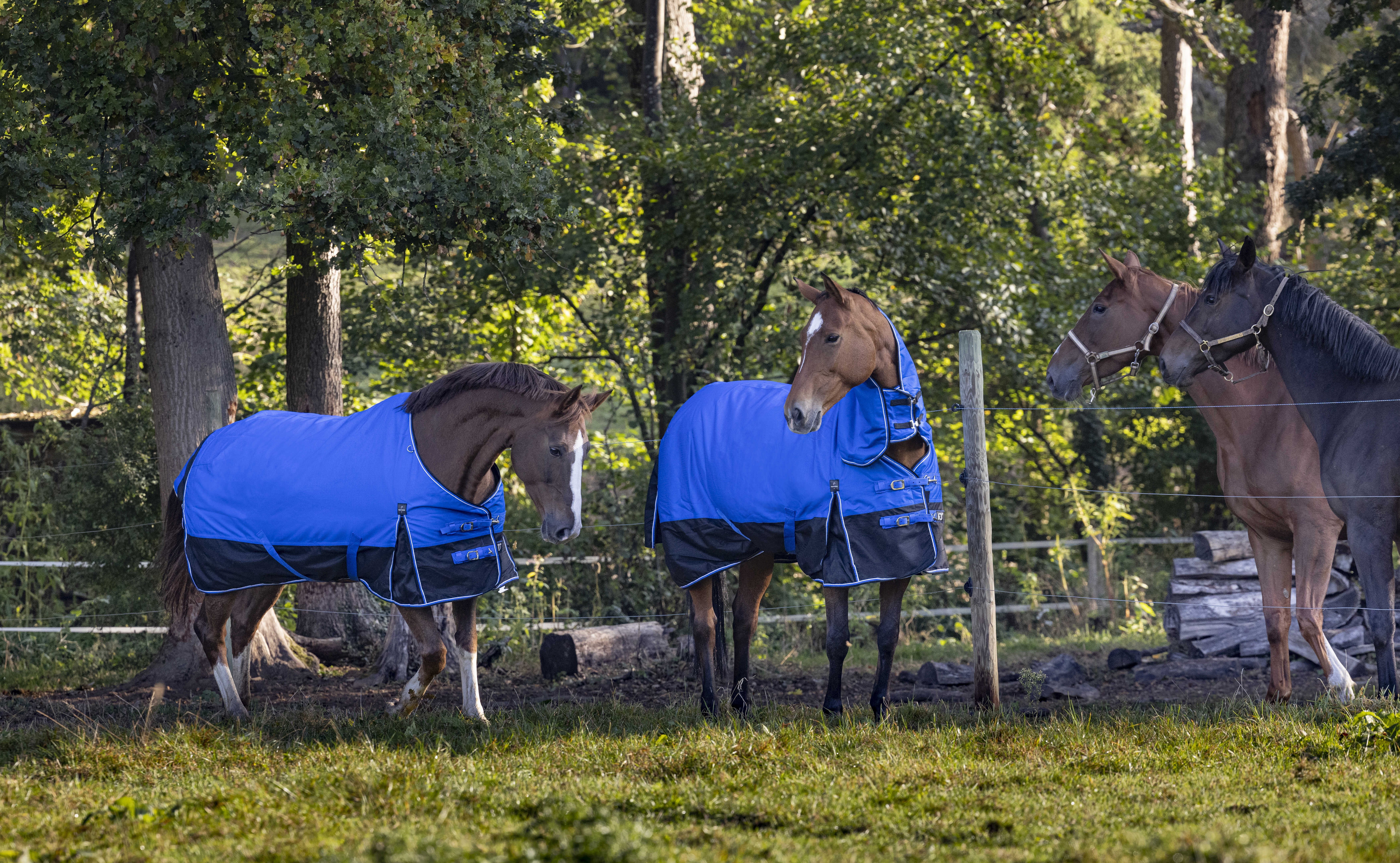 Cobertura Equithème Tyrex 1200D Aisance Azul / preto Cobertura Equithème Tyrex 1200D Aisance Azul / preto