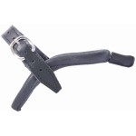 Esporas T de T infantil