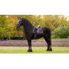 Tapete LeMieux Loire Classic Dressage Square - Zimbro