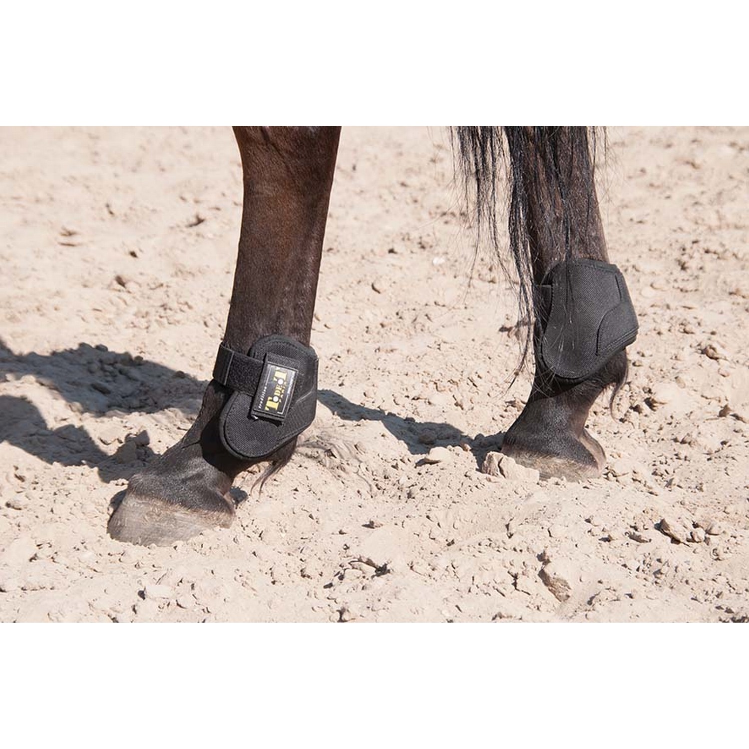 Protetores de boleto integrais termoformados T de T Preto