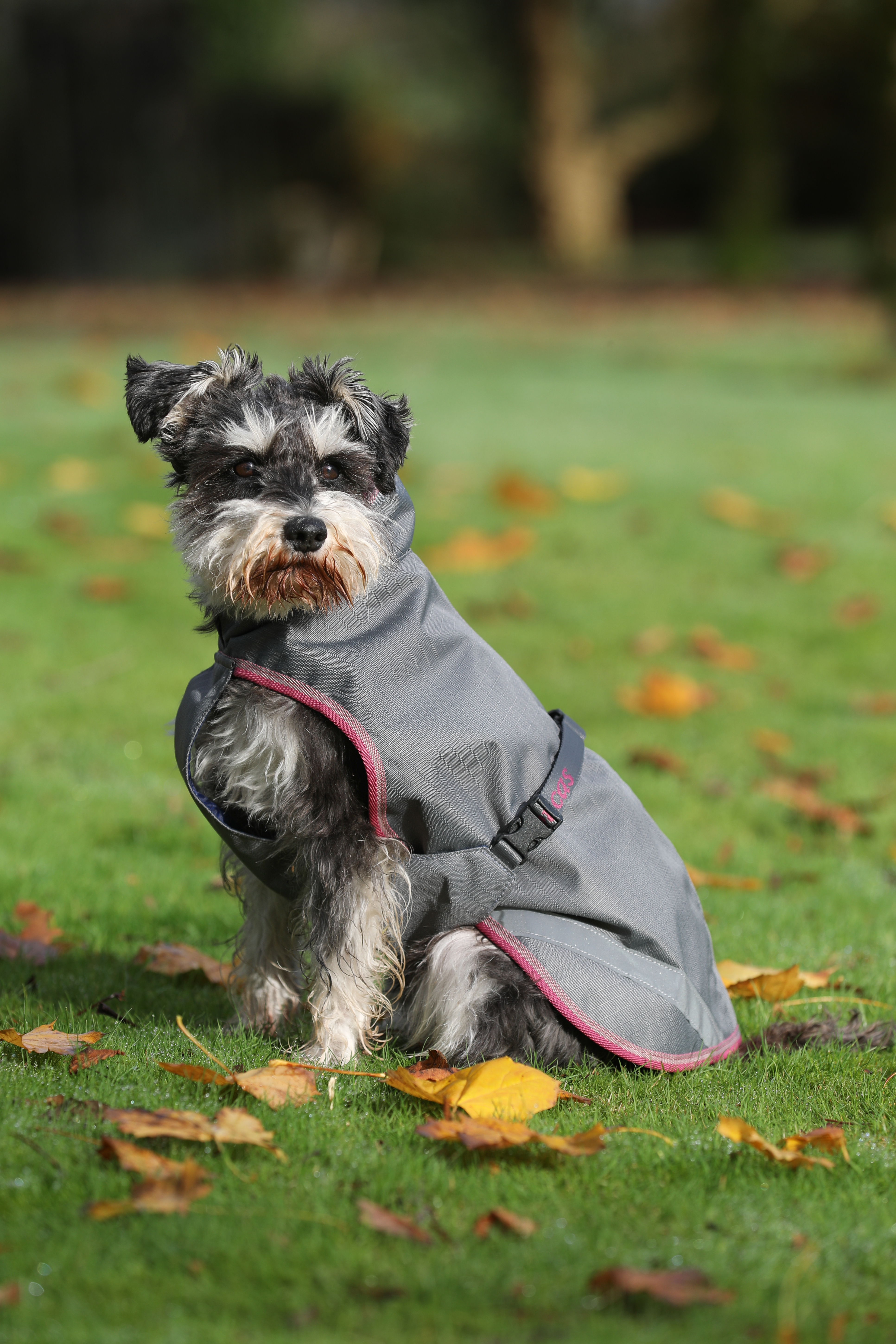 Capa para cão Bucas Freedom 300g Azul-marinho