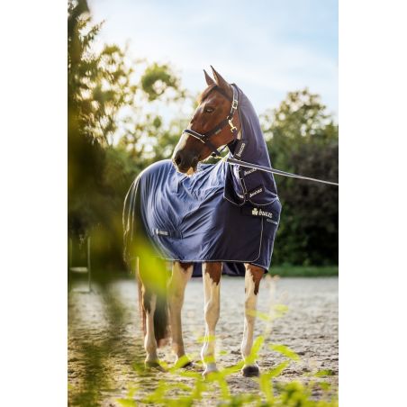 Cobertor Bucas Shamrock Power