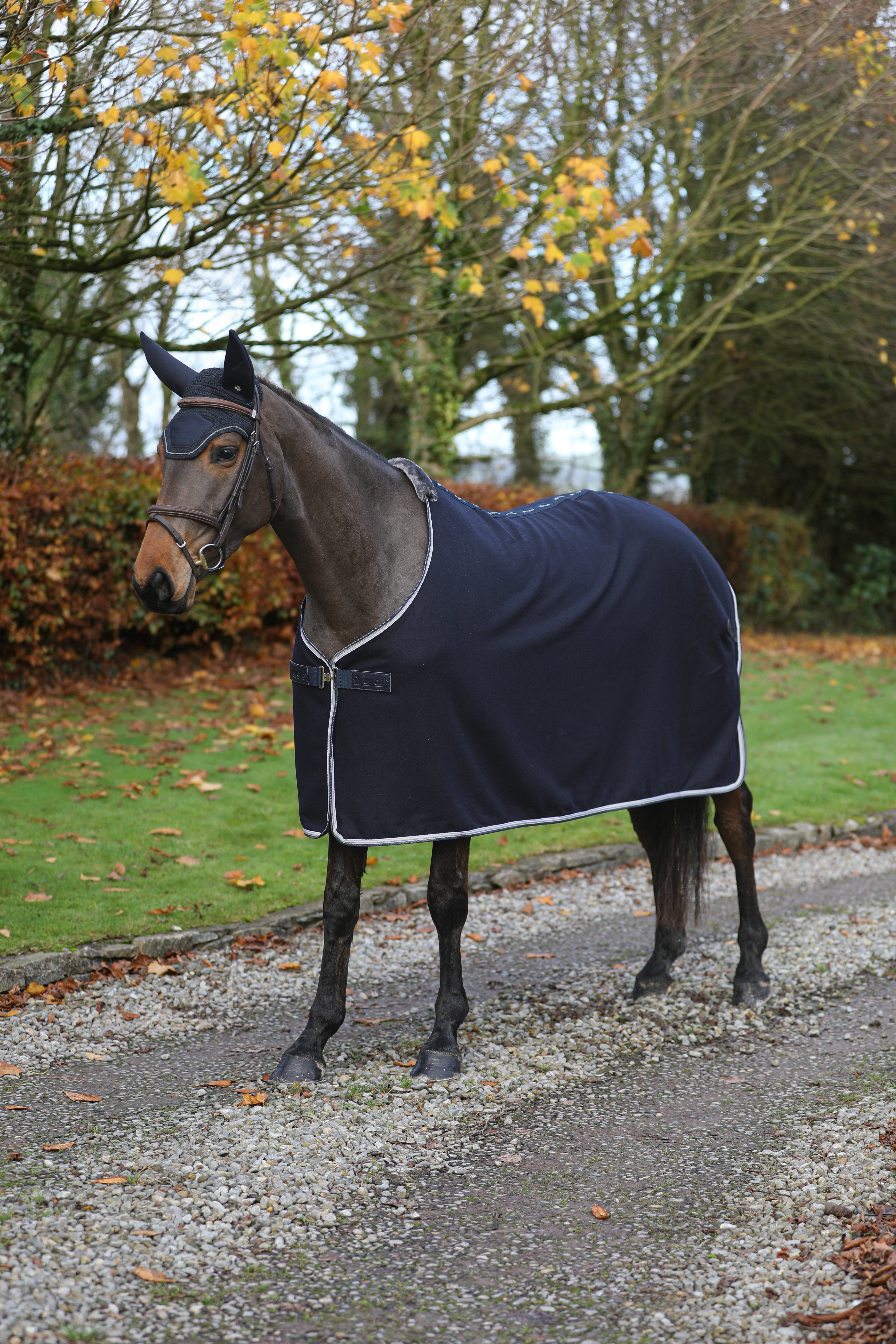 Manta Bucas de Lã Esmeralda Marinho Azul-marinho