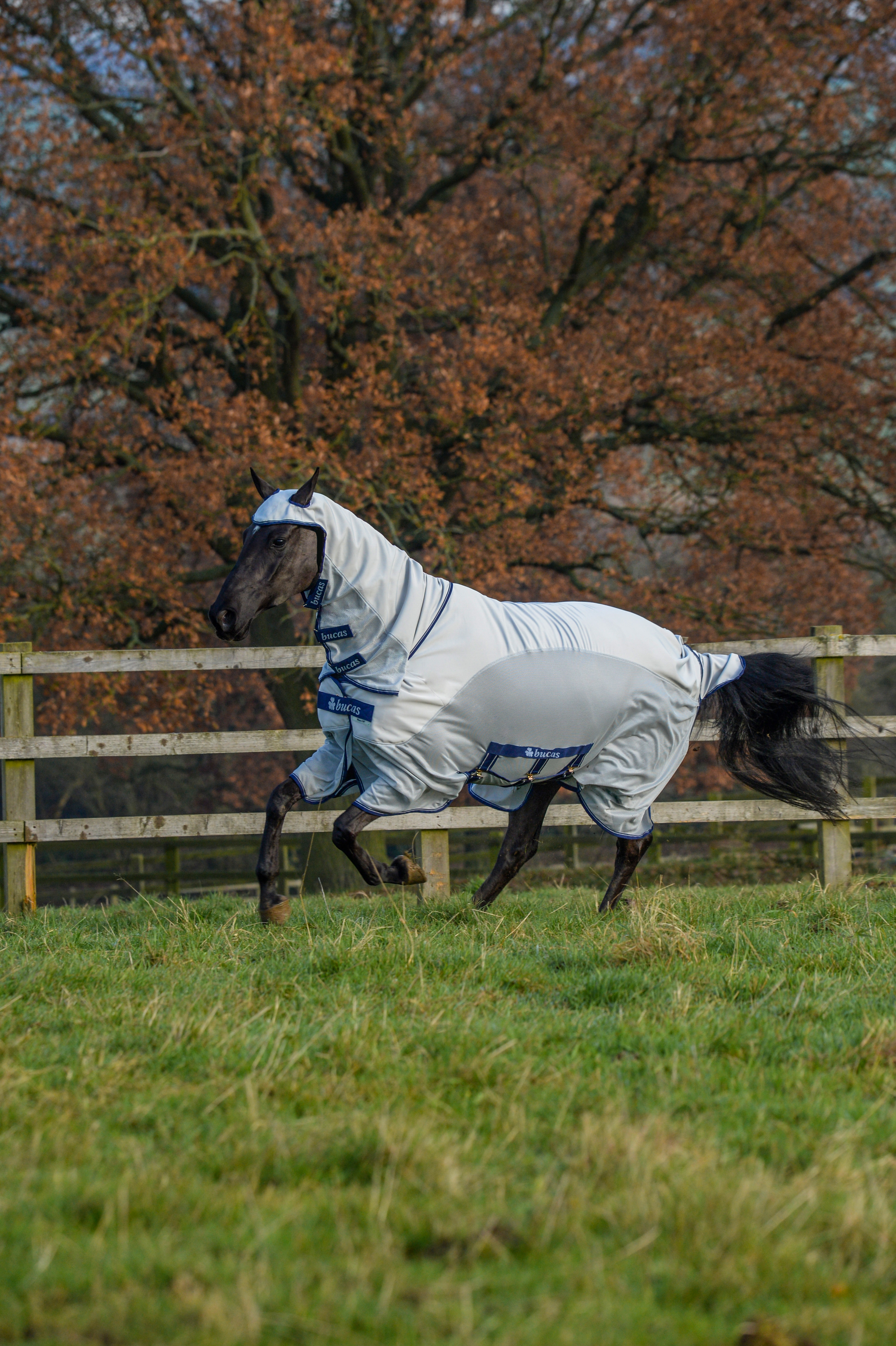 Cobertor Bucas Sweet-Itch X light P/B Prata