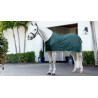 Camisa refrescante LeMieux - Verde