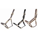 Caveirão de couro com placa para gravar T de T