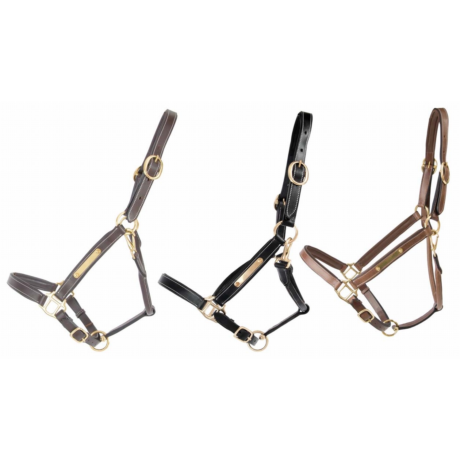 Licol cuir avec plaque à graver T de T Marron foncé Licol cuir avec plaque à graver T de T Marron foncé