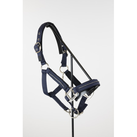 Cabeção e guia Harcour Amour