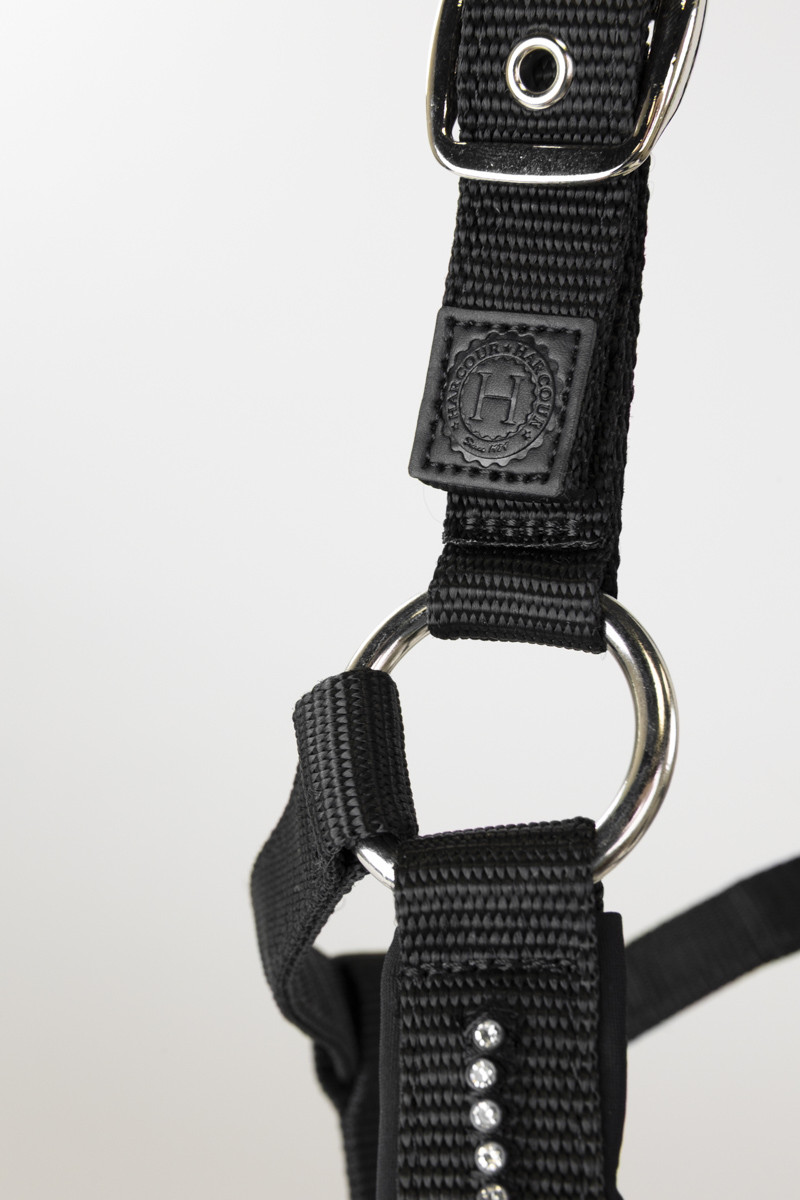 Cabeção e guia Harcour Amour Preto