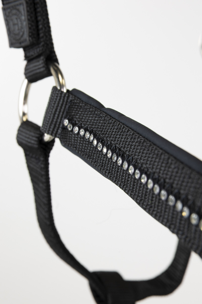 Cabeção e guia Harcour Amour Preto