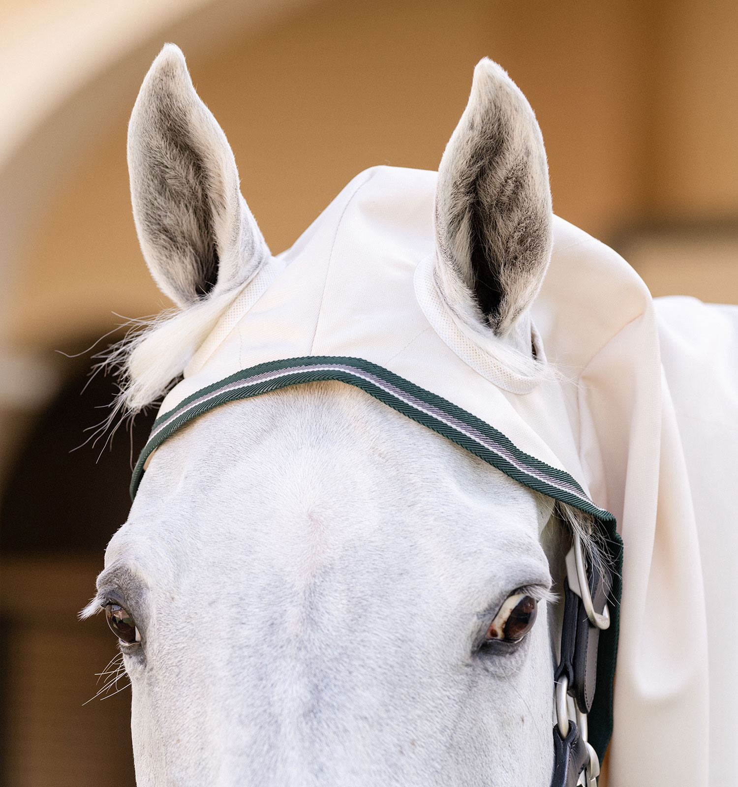 Cobertura integral Horseware Rambo hoody Pônei 0g Areia / cereja Branco