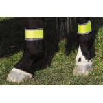 Bandagens amarelas refletoras para os posteriores