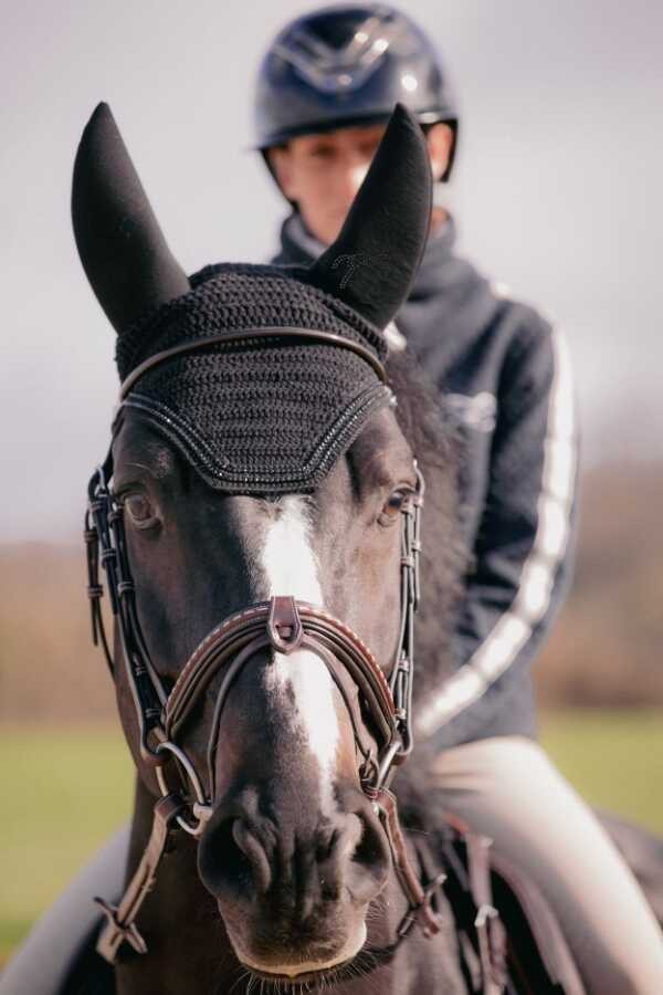 Touca para cavalos Pénélope Soundless Strass Preto