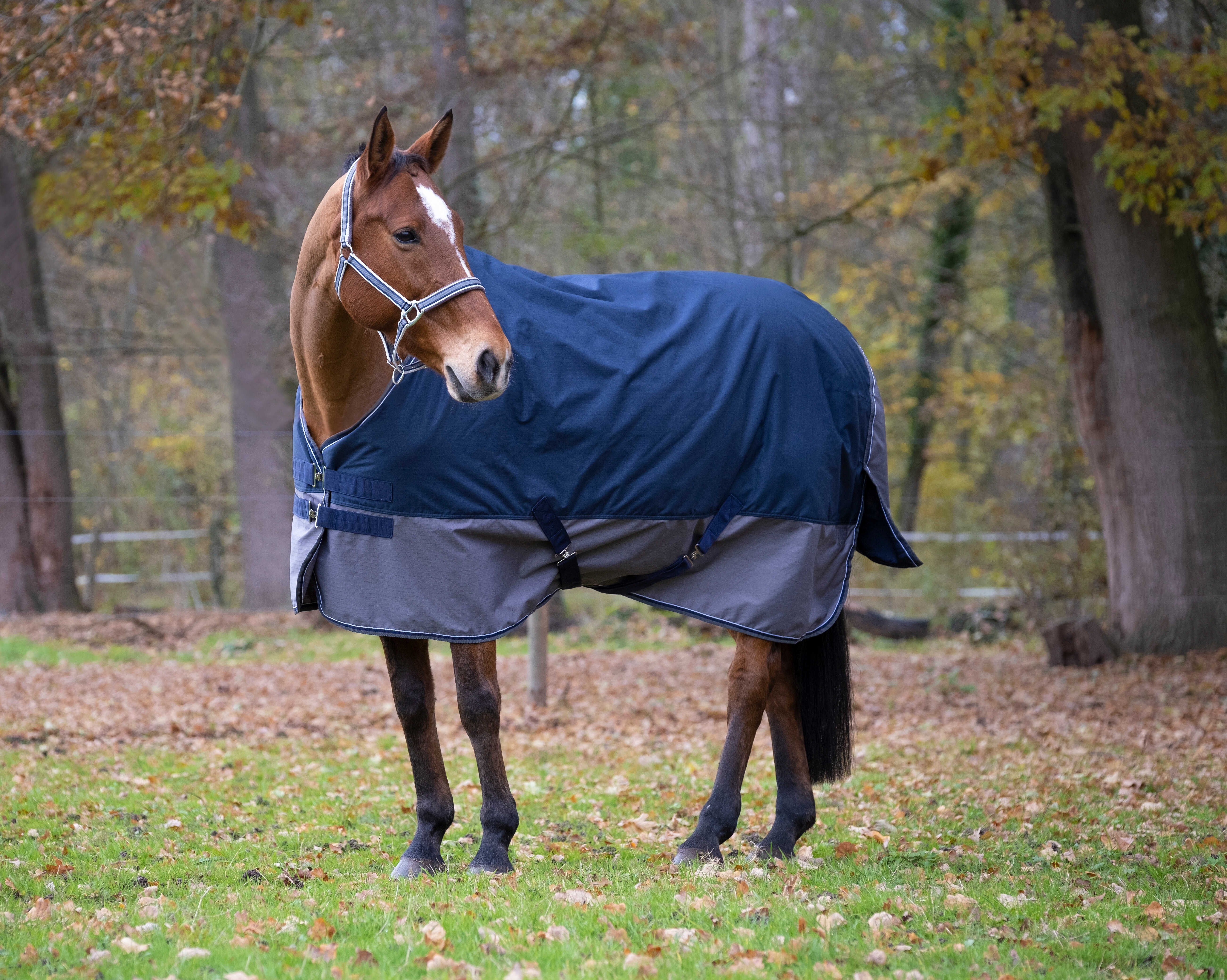Cobertura Equithème Tyrex 600 D 300g Marinho / cinza Azul