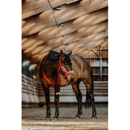 Cabresto + guia Equithème Xmas