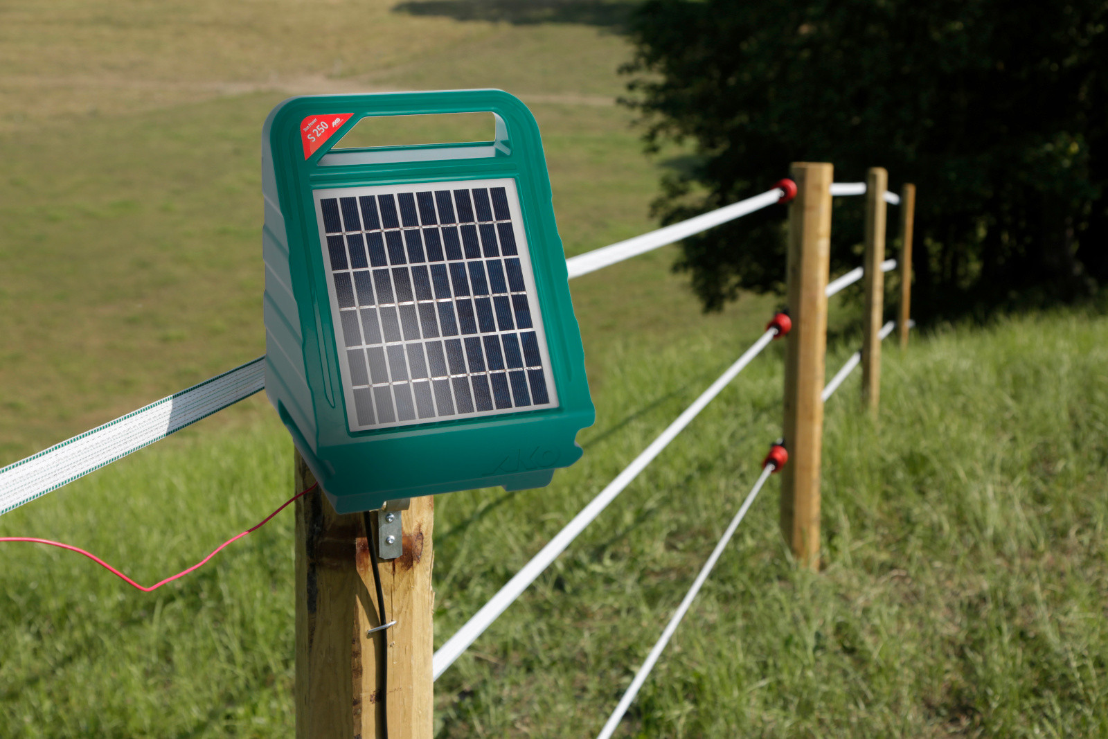 Sun Power S 250 AKO Verde