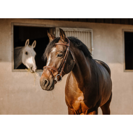 Bridão Eric Thomas Crown