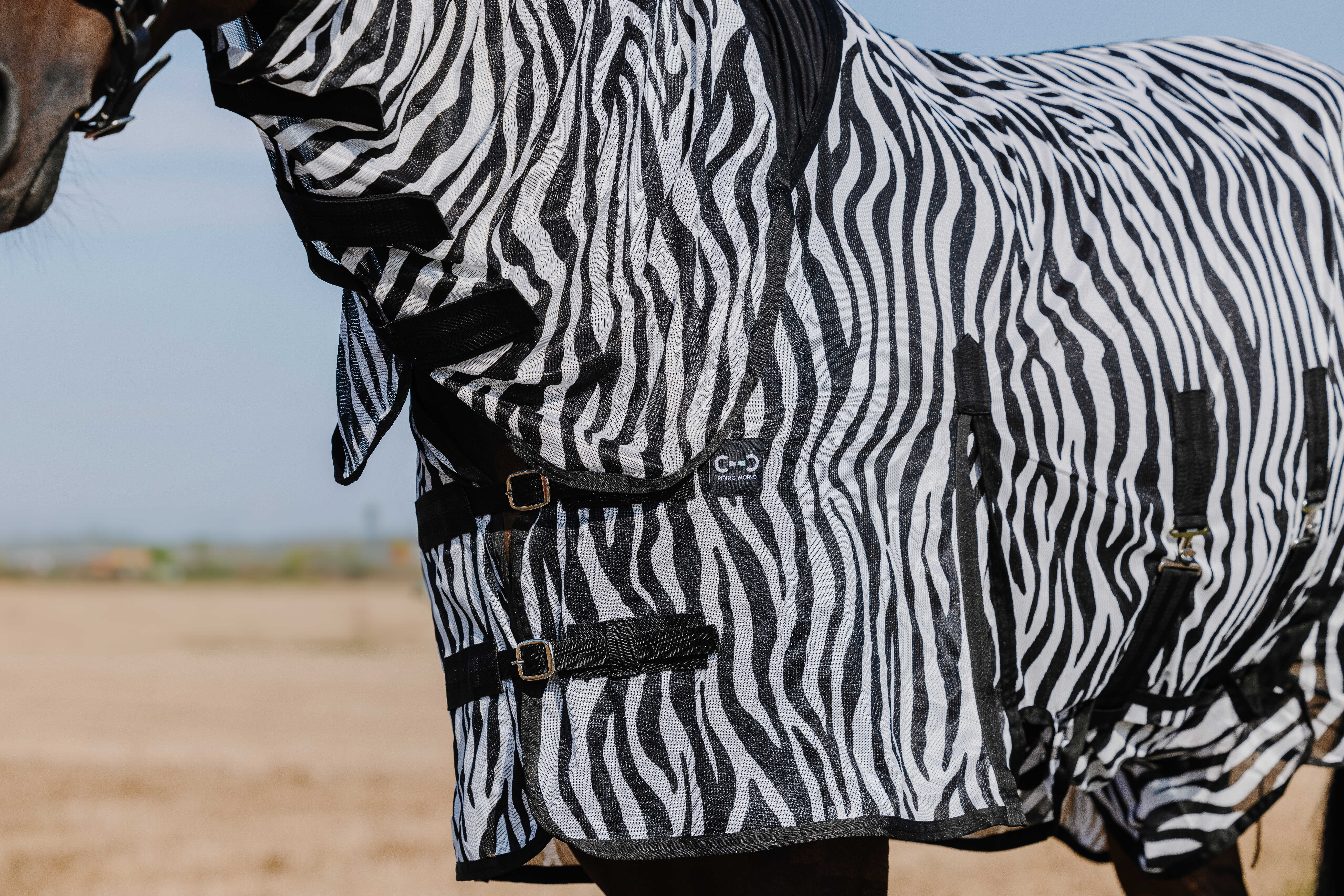 Camisa Riding World Belly Mesh Combo Preto / branco padrão zebra Motivos Camisa Riding World Belly Mesh Combo Preto / branco padrão zebra Motivos