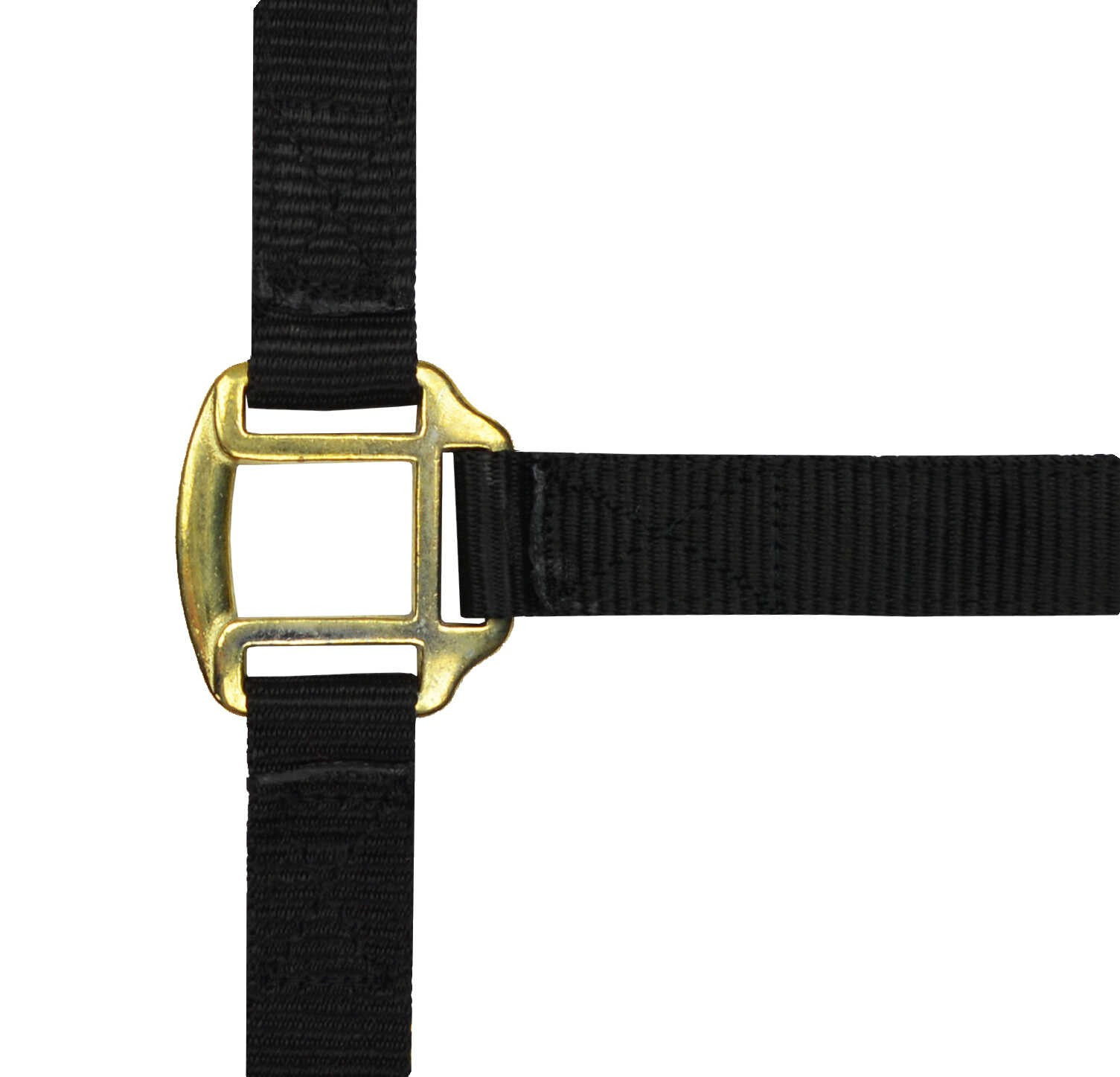 Cabeçada de nylon forrada a couro Norton Preto Cabeçada de nylon forrada a couro Norton Preto