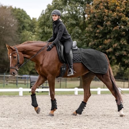 Capa para garupa impermeável Waldhausen Salzburg