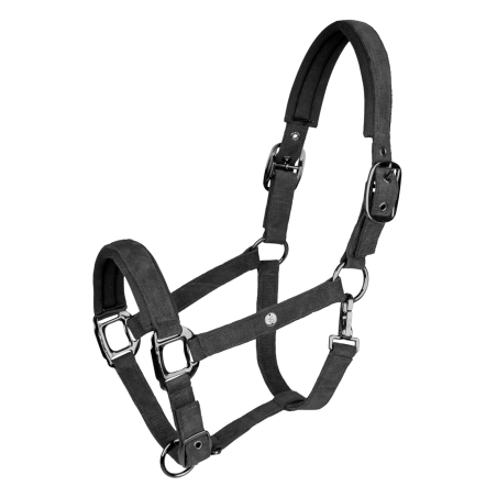 Caveção Waldhausen St. Gallen