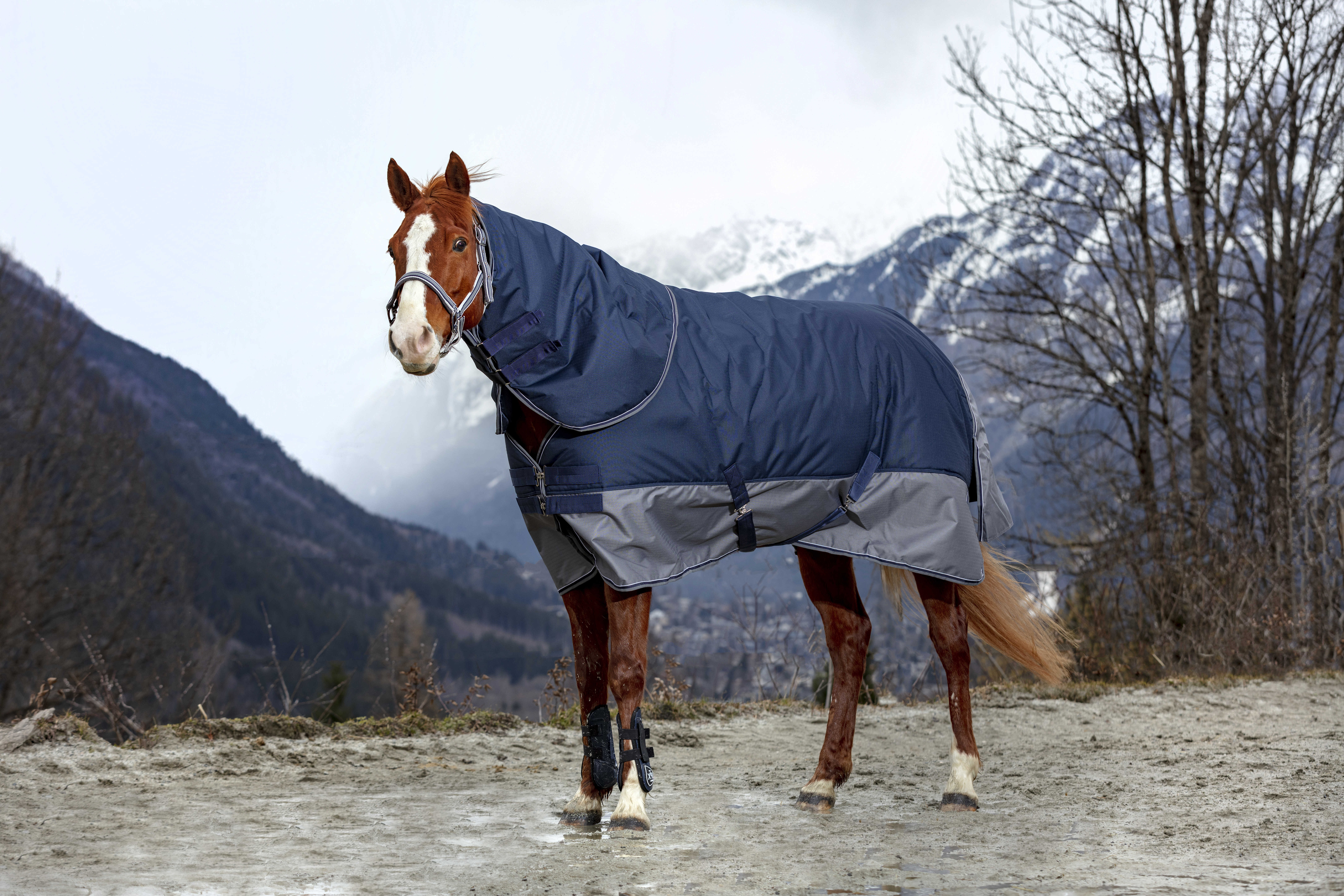 Cobre-pescoço Equithème Tyrex 600 D 0g Marinho / cinza Azul Cobre-pescoço Equithème Tyrex 600 D 0g Marinho / cinza Azul