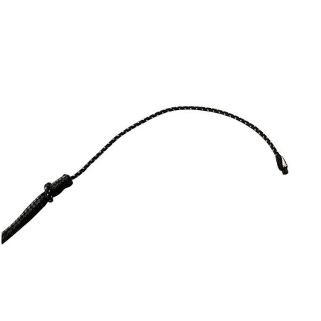 Chicote de adestramento Whip & Go