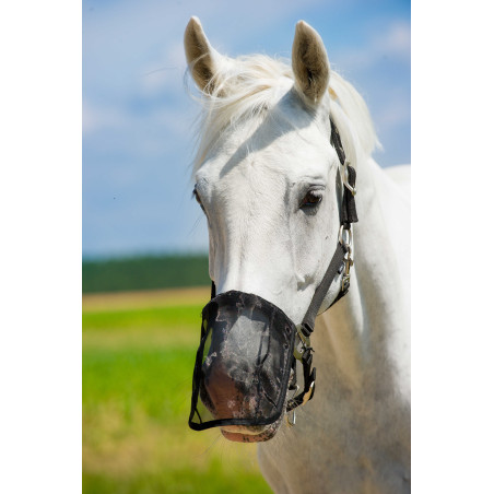 Protetor de narinas em malha anti-moscas