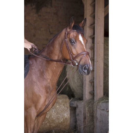 Rendas alemãs couro / corda Norton Pro