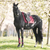 Manta de sela Imperial Riding Josie Dressage - Figue