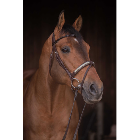 Bridão Pénélope Symphonie