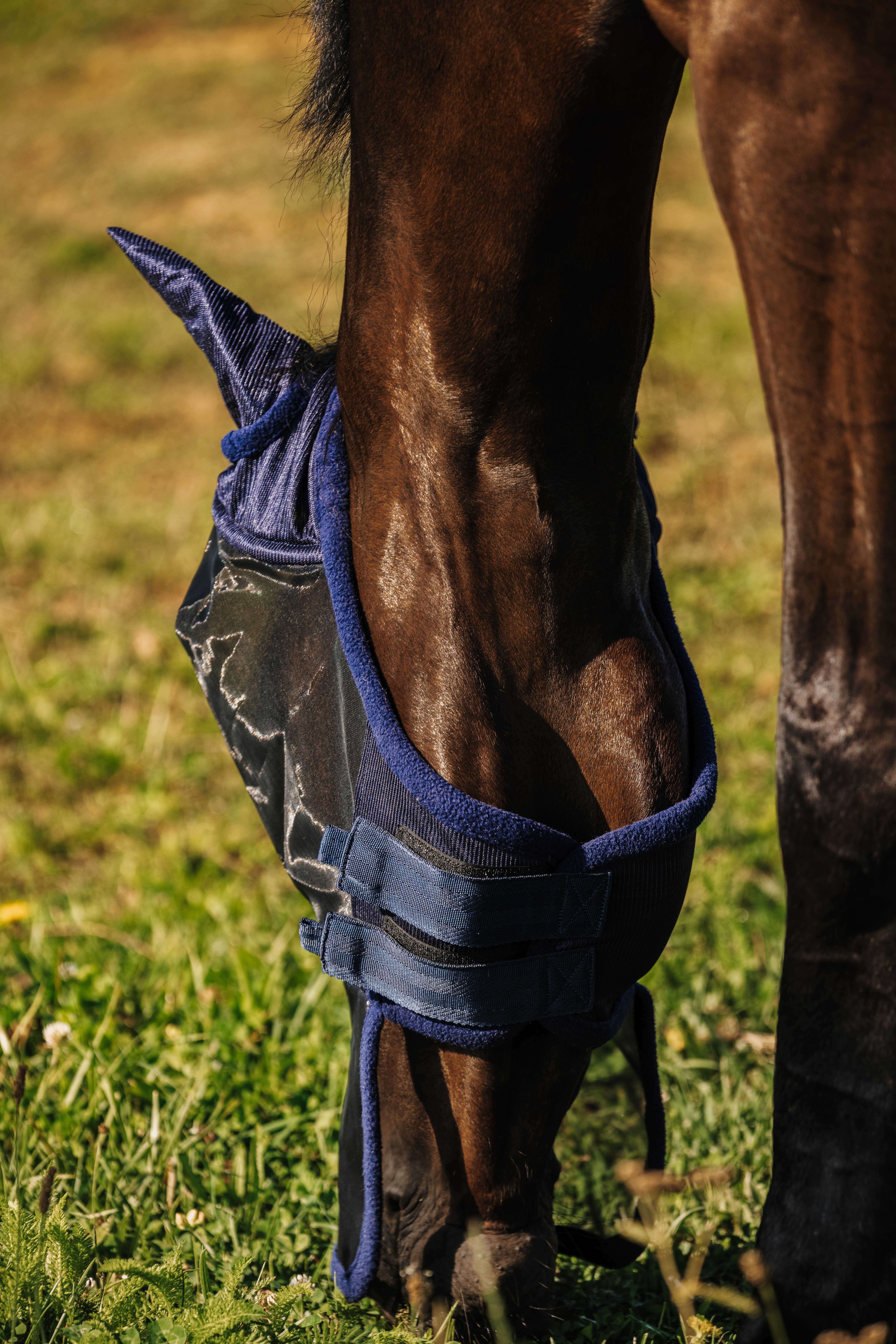 Máscara anti-moscas Riding World First Marinho Azul-marinho