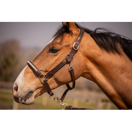 Caveção Pénélope Harmonie