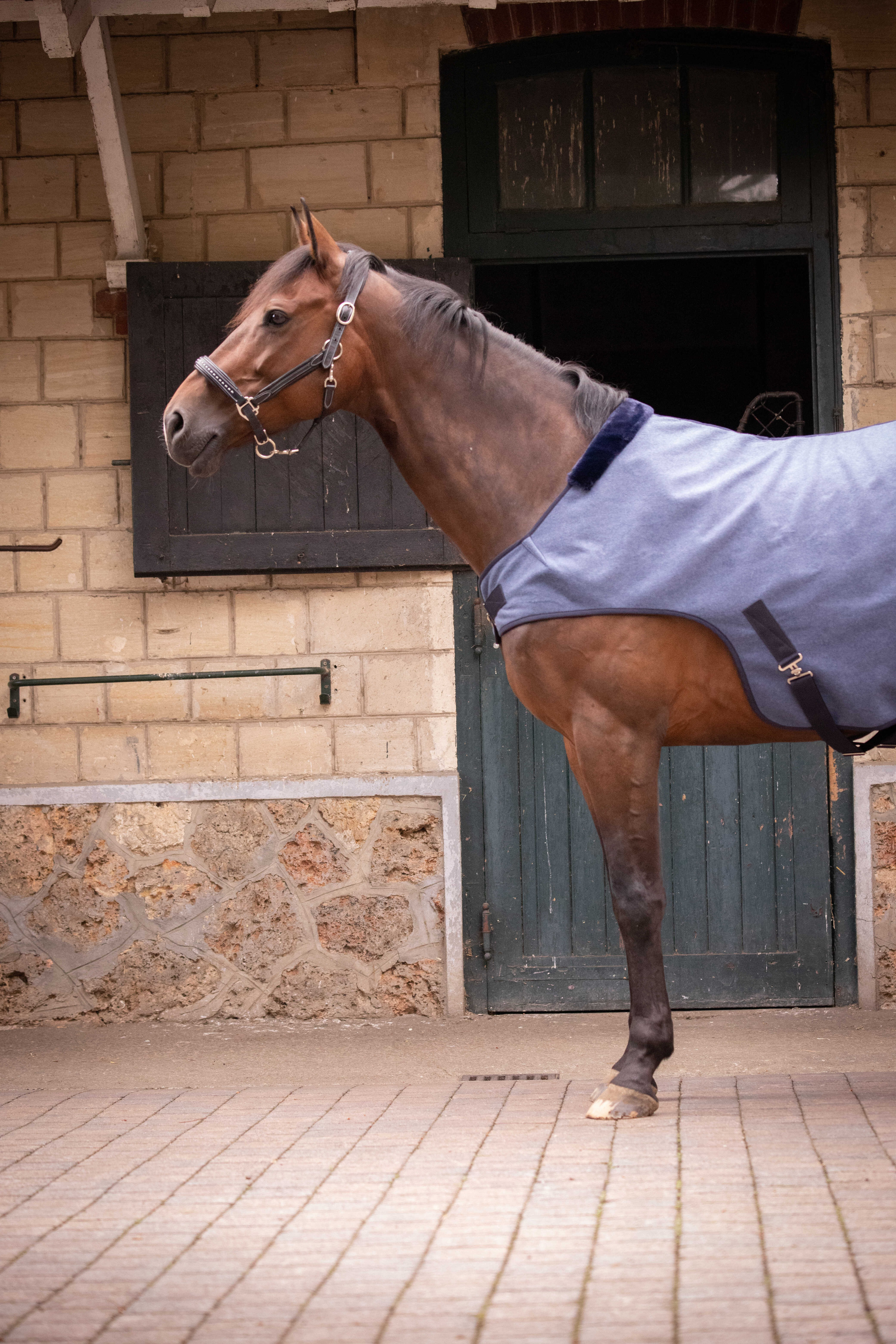 Cobertor Walker Wooltouch Paddock Sports Branco mesclado