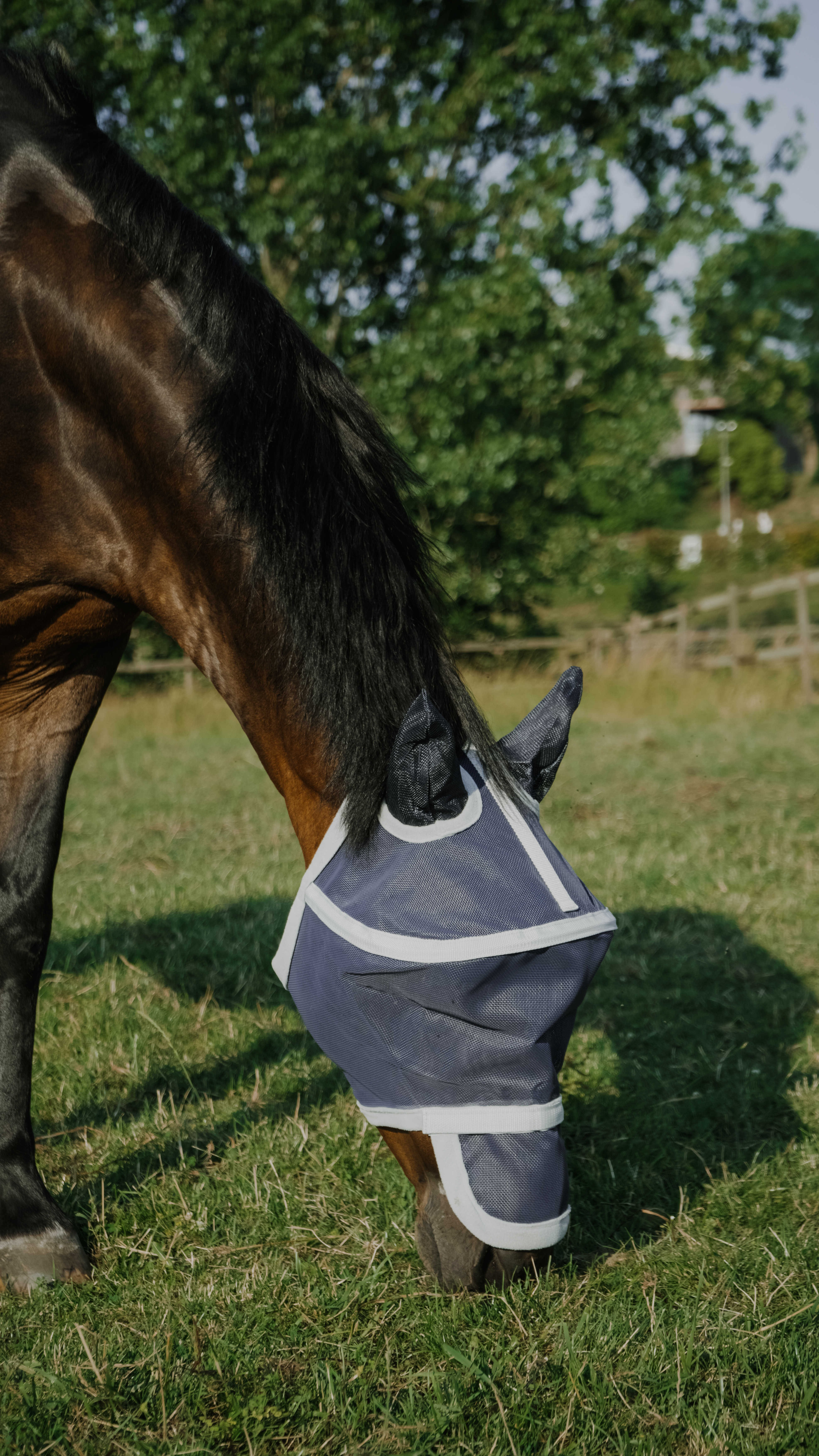 Máscara anti-moscas anti-UV Equithème Cerceau Marinho Azul-marinho