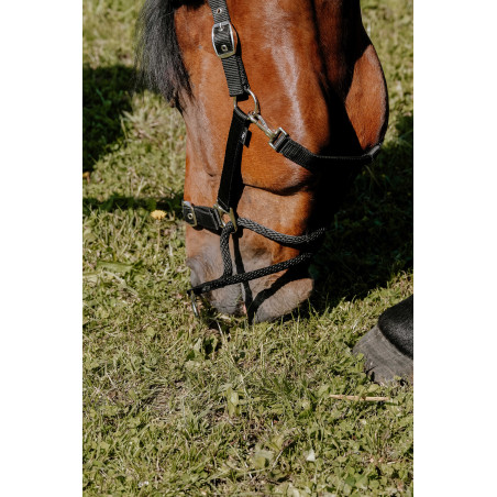 Caveção Norton Educativo