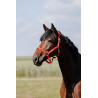 Almofada de Cabresto Riding World - Ferrugem