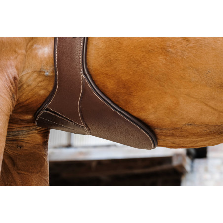 Cinta peitoral Magnet Norton