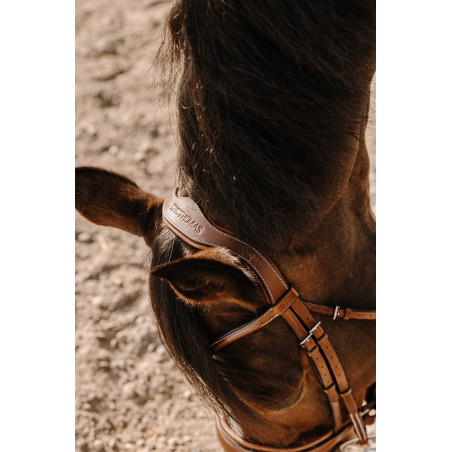 Bridão Eric Thomas Visby